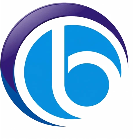 bSystems IT Logo